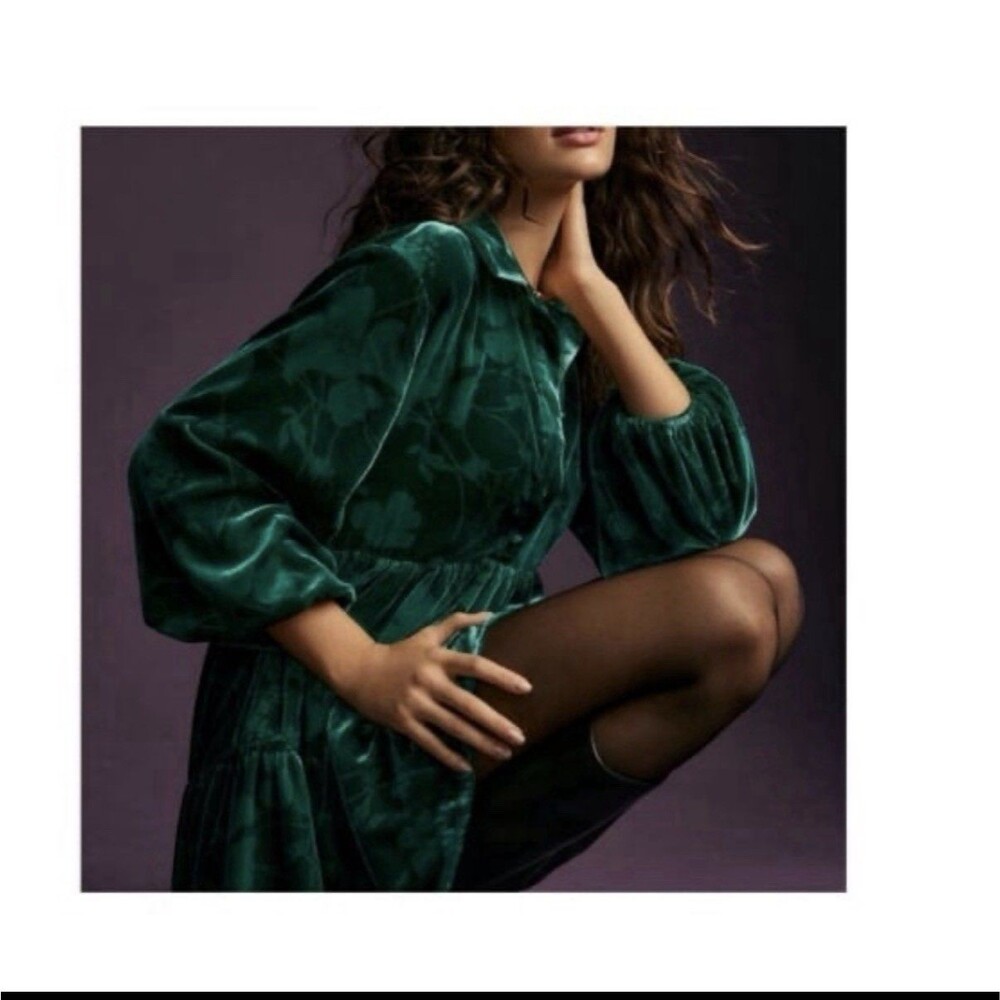 Anthropologie Maeve Bettina Tiered Mini Shirt Dress XS Green Velvet‎ Floral - Picture 2 of 9